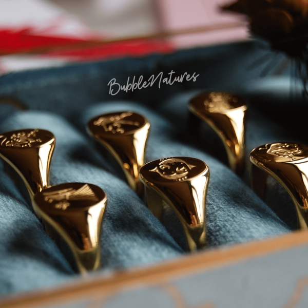 Personalised Zodiac Sign Signet Ring Jewellery Gift for Women