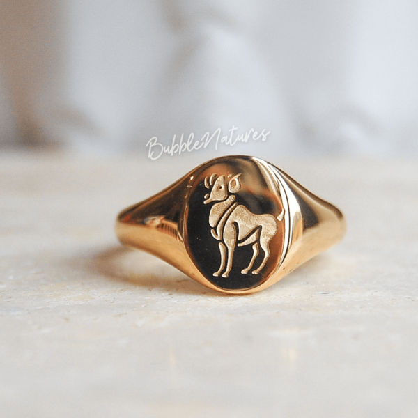 Personalised Zodiac Sign Signet Ring Jewellery Gift for Women