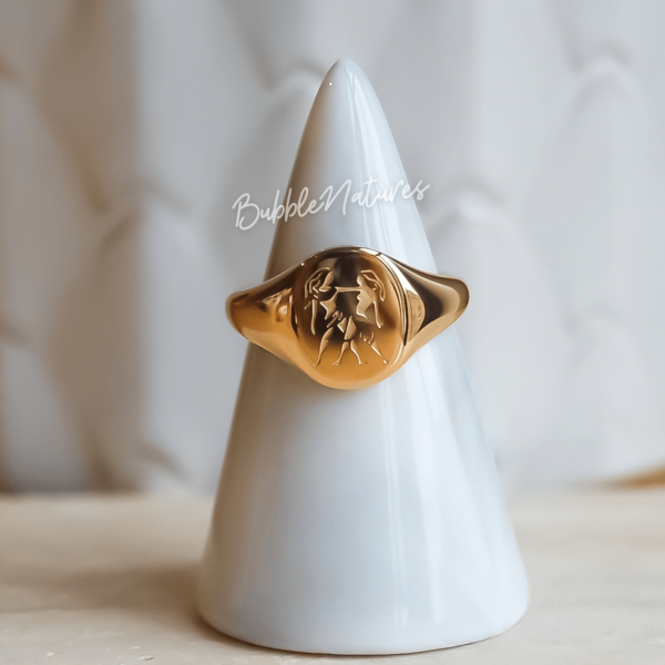 Personalised Zodiac Sign Signet Ring Jewellery Gift for Women